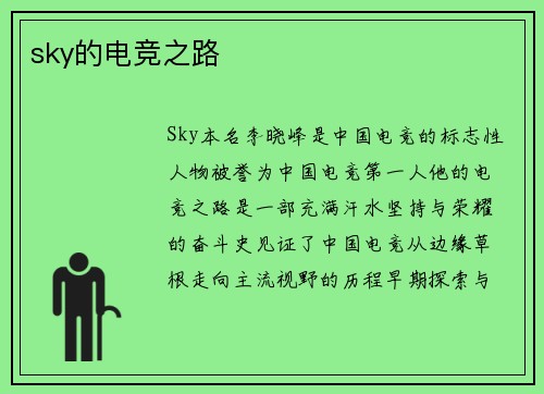 sky的电竞之路